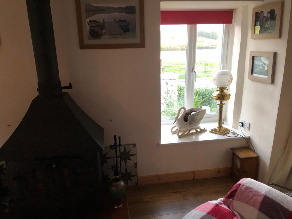 Lake View Romantic Retreat Aberystwyth Buitenkant foto
