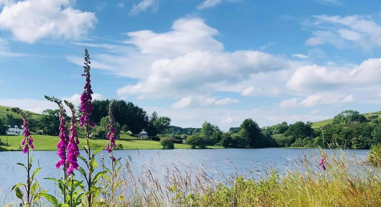 Lake View Romantic Retreat Aberystwyth Buitenkant foto