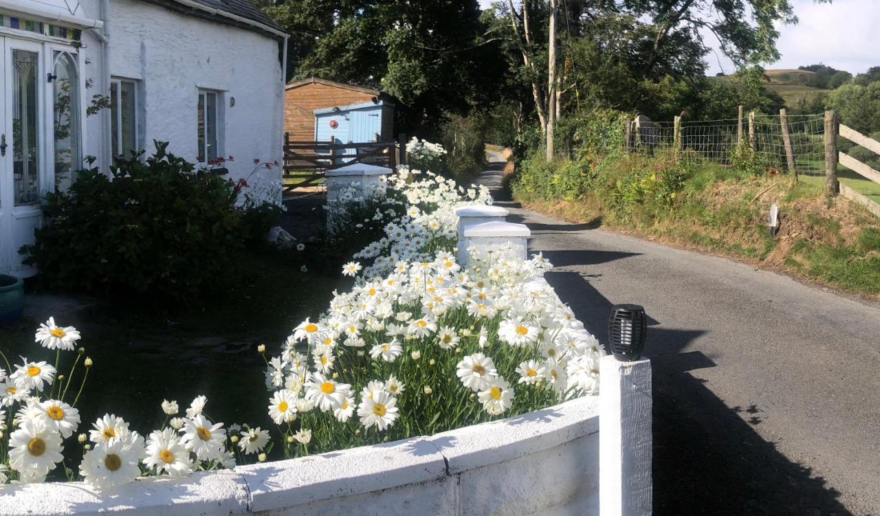 Lake View Romantic Retreat Aberystwyth Buitenkant foto