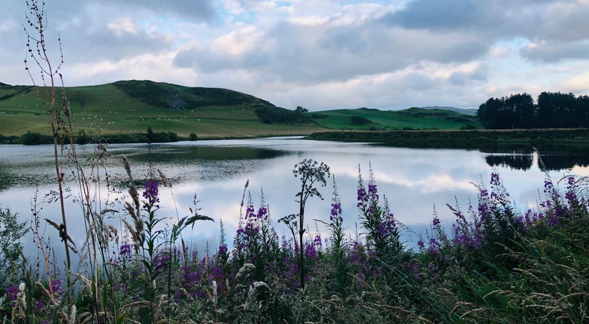 Lake View Romantic Retreat Aberystwyth Buitenkant foto